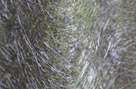 Great Crakehall fibreglass roof work